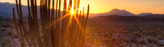 Agency Desert Image Agency Desert Image
