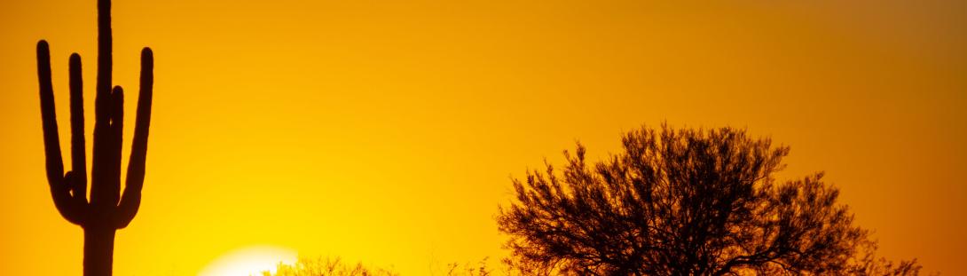 Desert Sunset in arizona