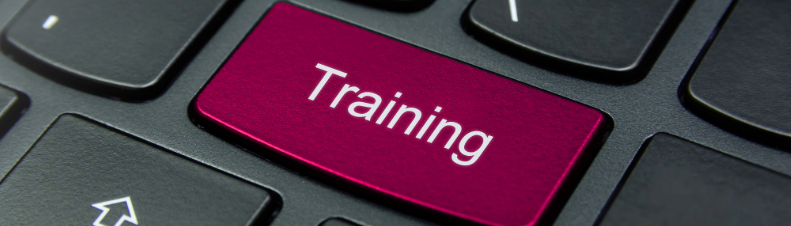 training2 image