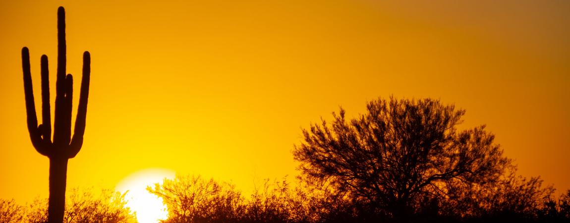 Desert-Sunset